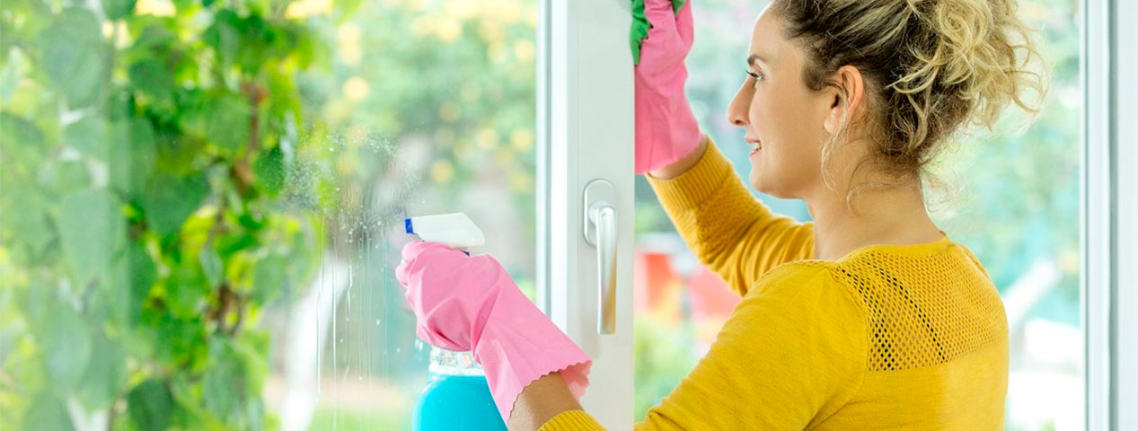 Жаркие споры о том, зачем мыть окна
